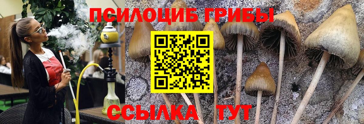 Псилоцибиновые грибы ЛСД Махачкала