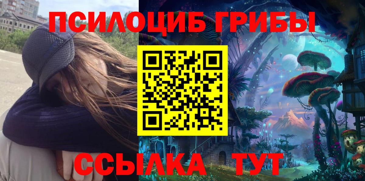 Махачкала  Галлюциногенные грибы Psilocybine cubensis  Вход с VPN 