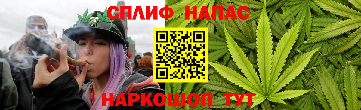 Канабис Bruce Banner Махачкала